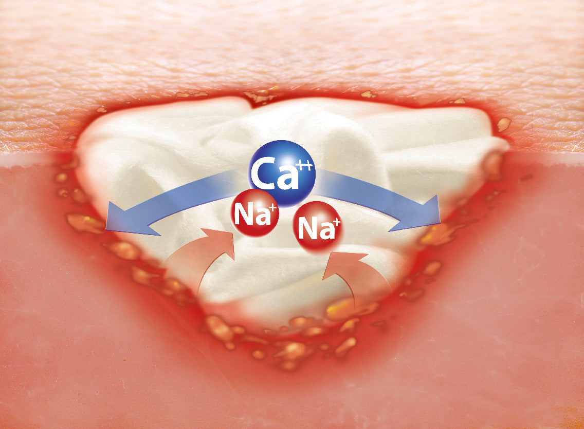 Cutimed Alginate 5cm X 5cm Caja X 10 Unidades.
