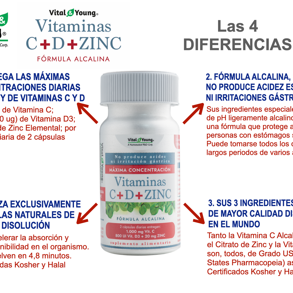 Vitaminas C + D3 + Zinc Fórmula Alcalina – Apoyo Sistema Inmune | 60 Cápsulas