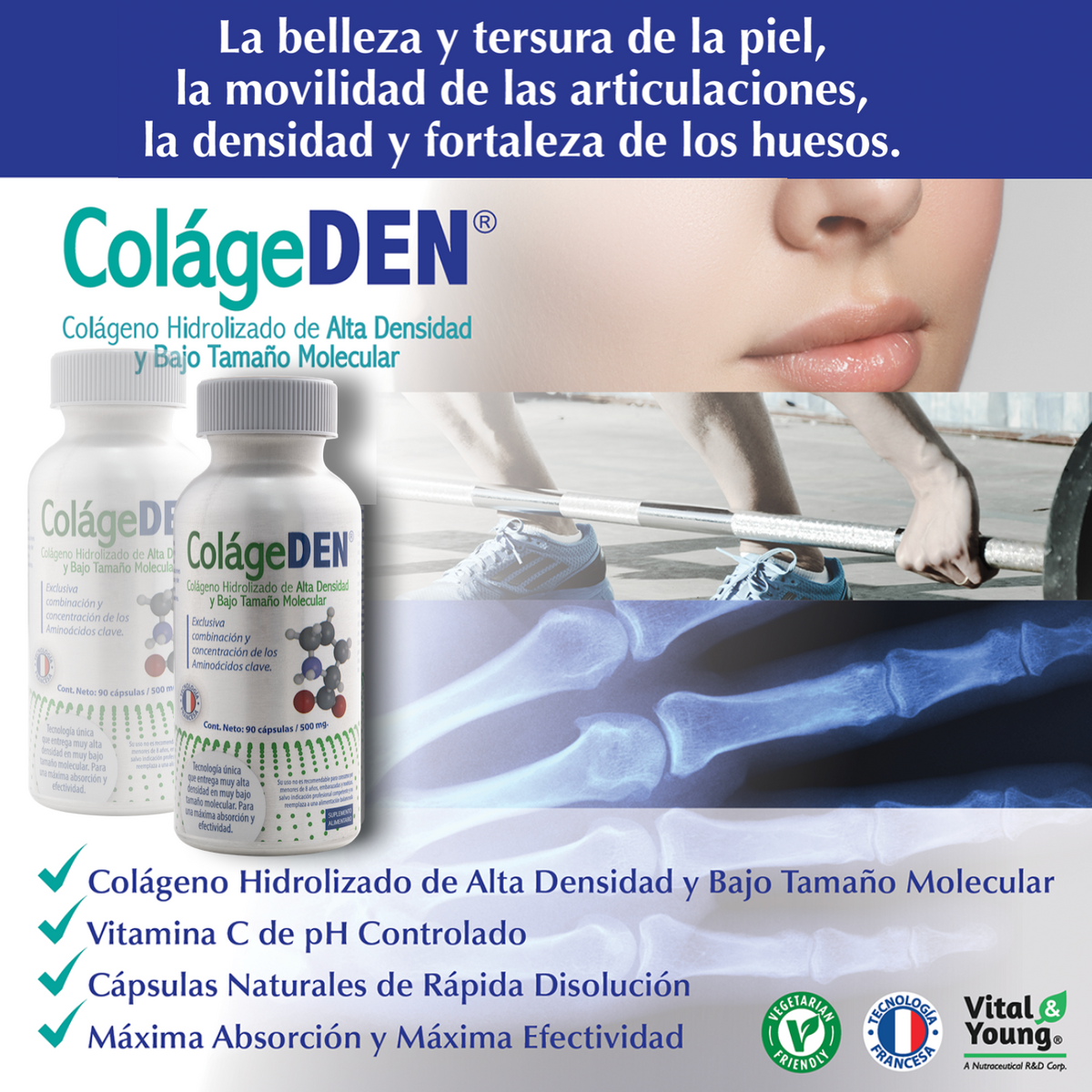 Colágeno Hidrolizado Alta Absorción 2.000 Da + Vitamina C USP – 90 Cápsulas