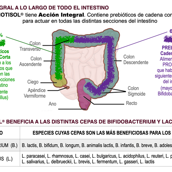 Prebiotisol® Prebióticos Vegetales en Polvo – Salud Digestiva y Microbiota | 150 g