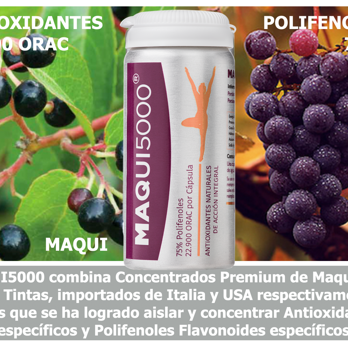 MAQUI5000 Antioxidante 5.000 ORAC con Maqui Chileno y Uvas Tintas – 30 Cápsulas Veganas