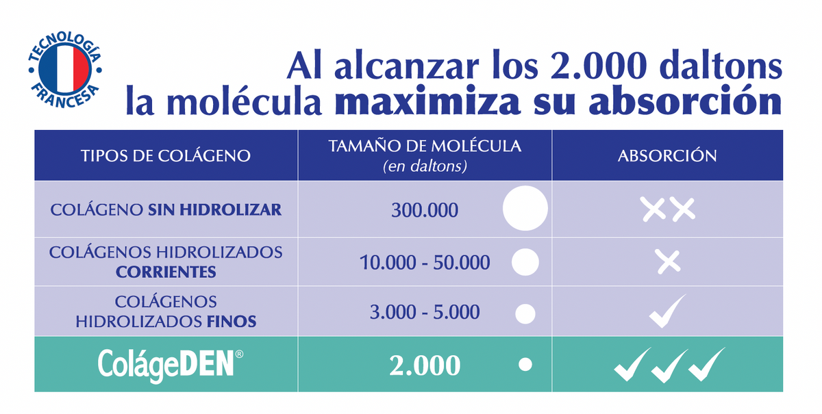Colágeno Hidrolizado Alta Absorción 2.000 Da + Vitamina C USP – 90 Cápsulas