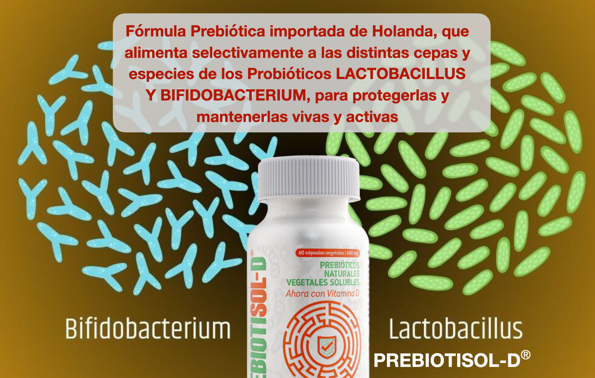 Prebiotisol-D® Prebióticos Naturales con Vitamina D3 – Salud Digestiva y Microbiota | 60 Cápsulas