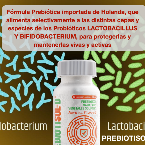 Prebiotisol-D® Prebióticos Naturales con Vitamina D3 – Salud Digestiva y Microbiota | 60 Cápsulas