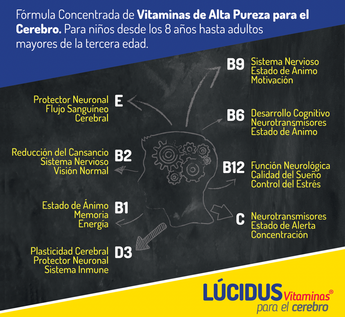 Lucidus Vitaminas para el Cerebro® – Complejo B + Vitaminas C, D y E | 30 Cápsulas