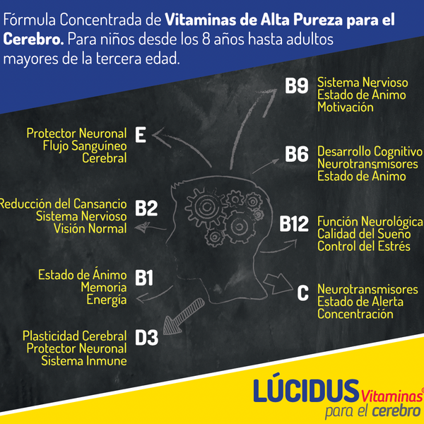 Lucidus Vitaminas para el Cerebro® – Complejo B + Vitaminas C, D y E | 30 Cápsulas