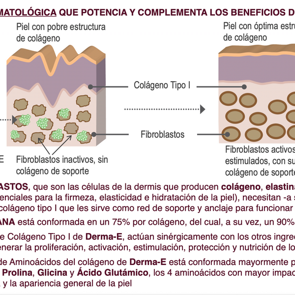 Derma-E Colágeno Hidrolizado 2.000 Da + Vitamina C, E, Biotina y Calcio – 90 Cápsulas