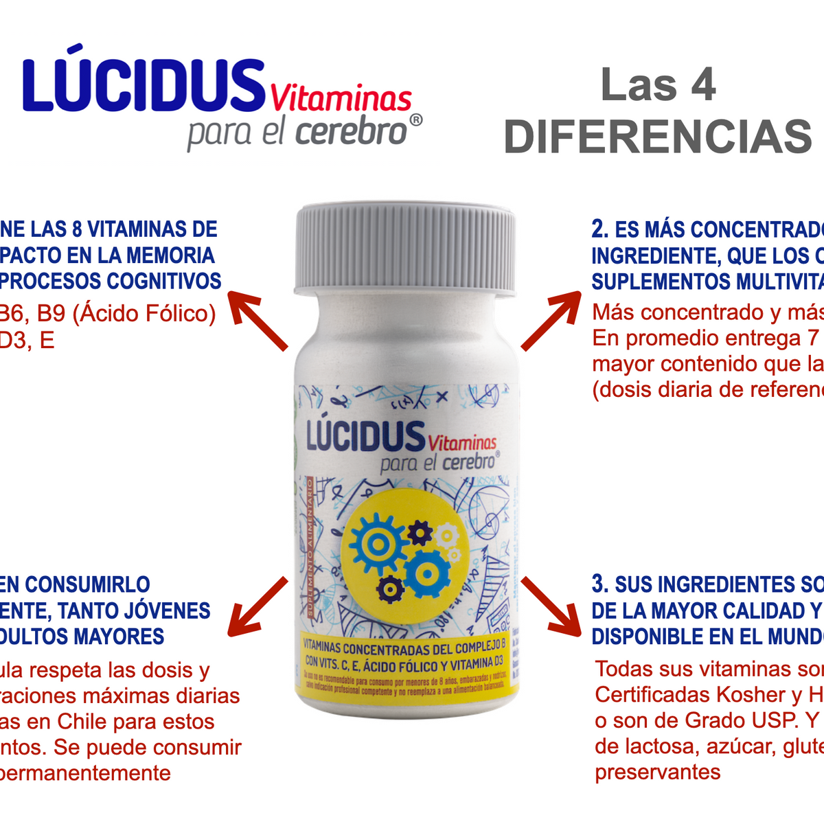 Lucidus Vitaminas para el Cerebro® – Complejo B + Vitaminas C, D y E | 30 Cápsulas