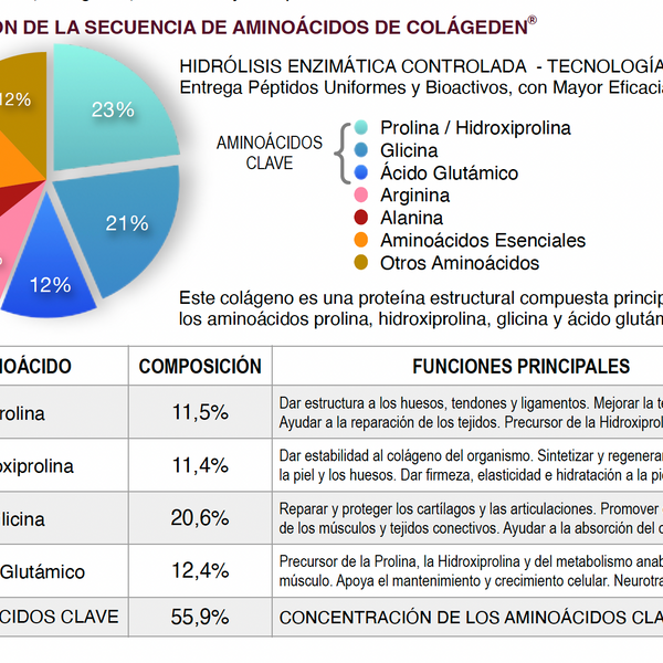 Colágeno Hidrolizado Alta Absorción 2.000 Da + Vitamina C USP – 90 Cápsulas
