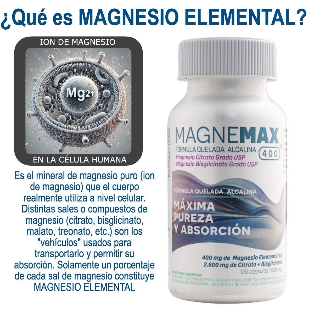 Magnemax 400® Magnesio 400 mg Elemental – Citrato + Bisglicinato Grado USP | 120 Cápsulas