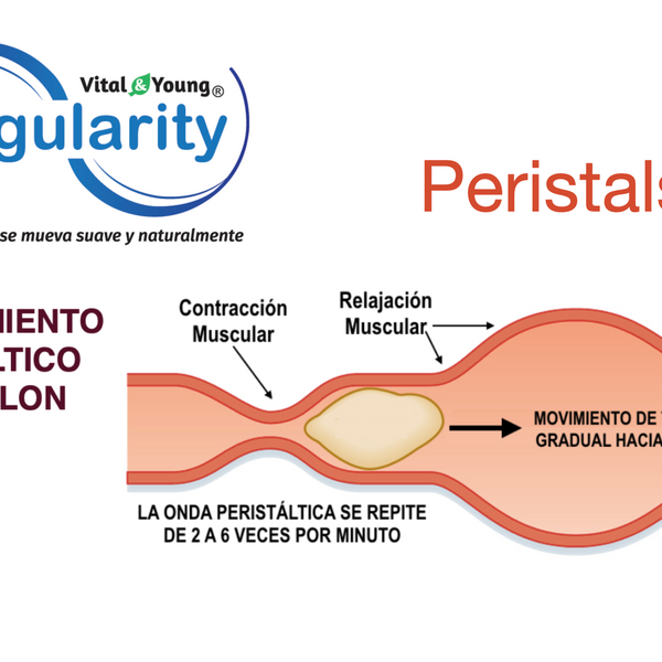 Regularity Fibra Vegetal con Magnesio Natural – Apoyo para la Regularidad Intestinal | 90 Cápsulas