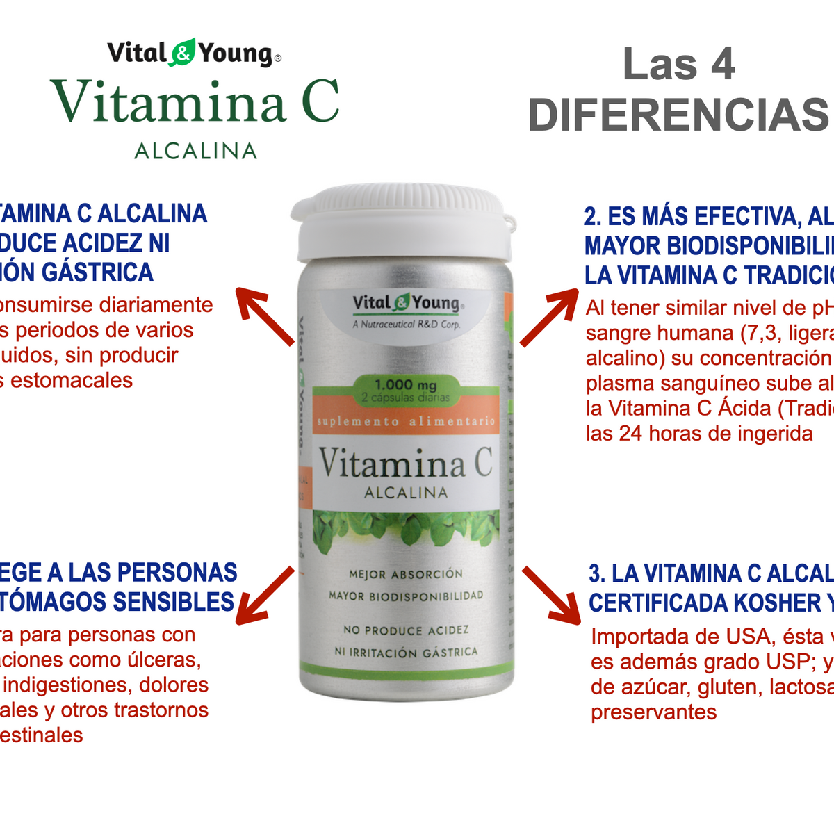 Vitamina C Alcalina 1000 mg (Ascorbato de Calcio USP) – Alta Biodisponibilidad | 60 Cápsulas