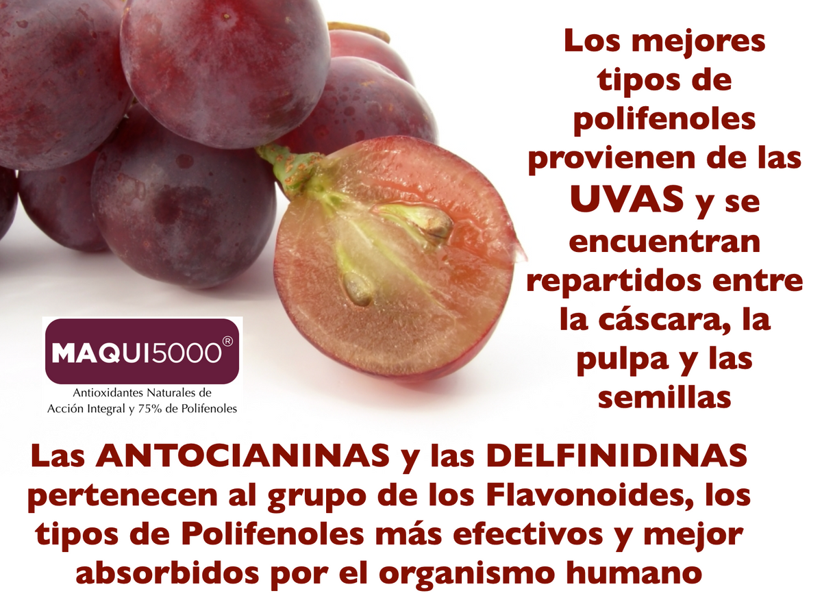 MAQUI5000 Antioxidante 5.000 ORAC con Maqui Chileno y Uvas Tintas – 30 Cápsulas Veganas