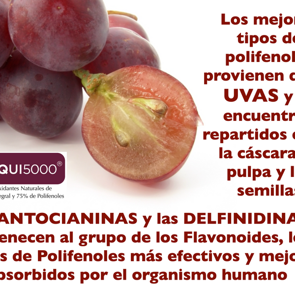 MAQUI5000 Antioxidante 5.000 ORAC con Maqui Chileno y Uvas Tintas – 30 Cápsulas Veganas