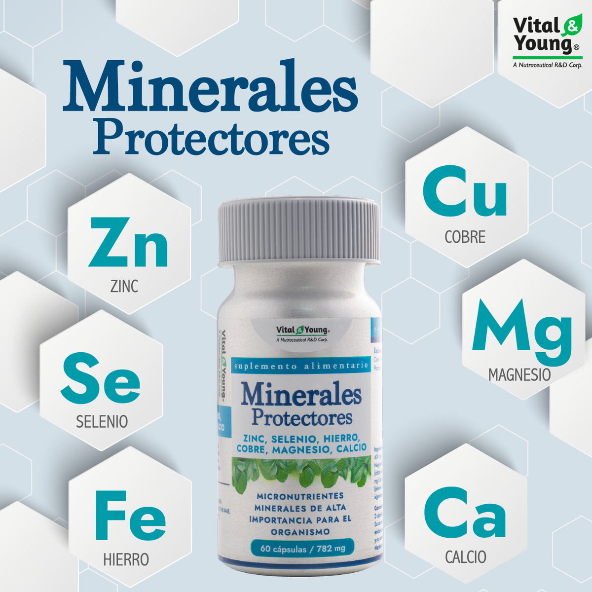 Minerales Protectores Zinc + Selenio + Hierro + Cobre + Magnesio + Calcio – 60 Cápsulas