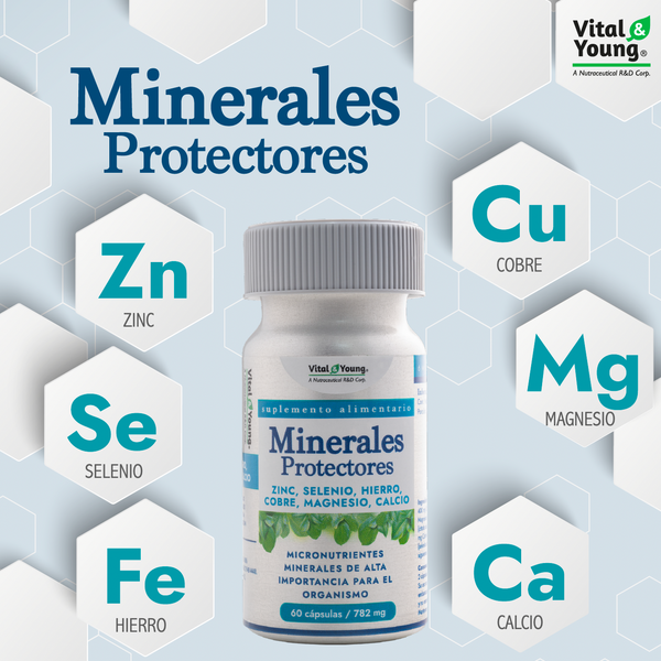 Minerales Protectores Zinc + Selenio + Hierro + Cobre + Magnesio + Calcio – 60 Cápsulas