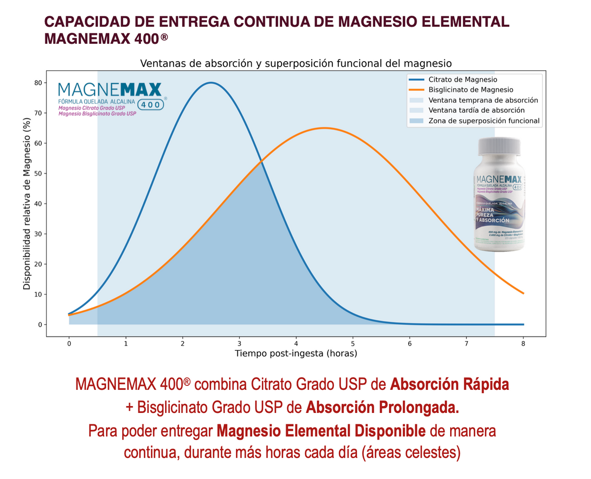 Magnemax 400® Magnesio 400 mg Elemental – Citrato + Bisglicinato Grado USP | 120 Cápsulas