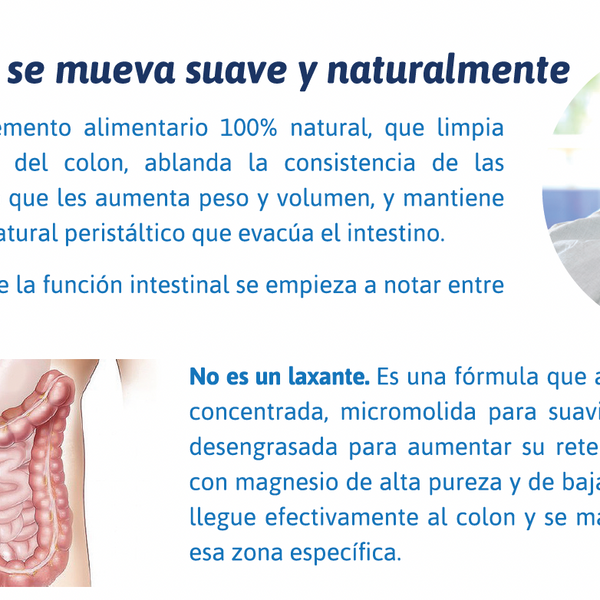 Regularity Fibra Vegetal con Magnesio Natural – Apoyo para la Regularidad Intestinal | 90 Cápsulas
