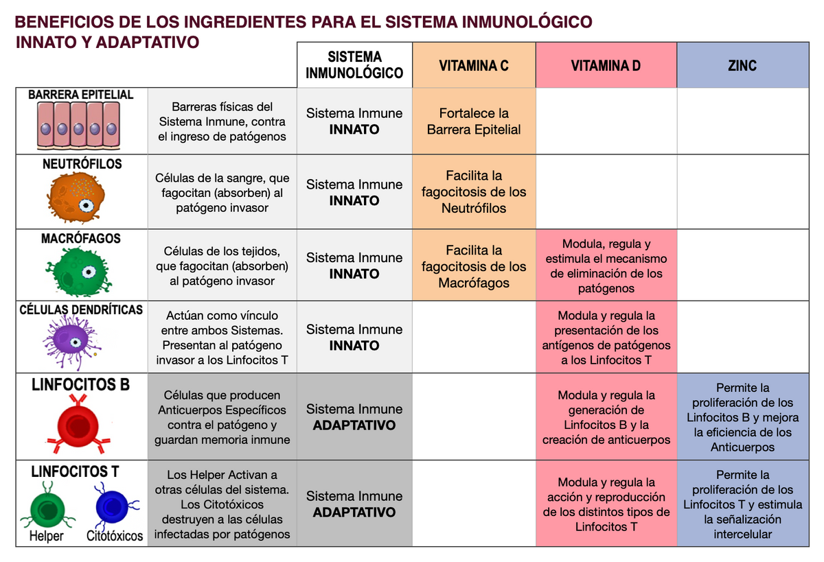 Vitaminas C + D3 + Zinc Fórmula Alcalina – Apoyo Sistema Inmune | 60 Cápsulas