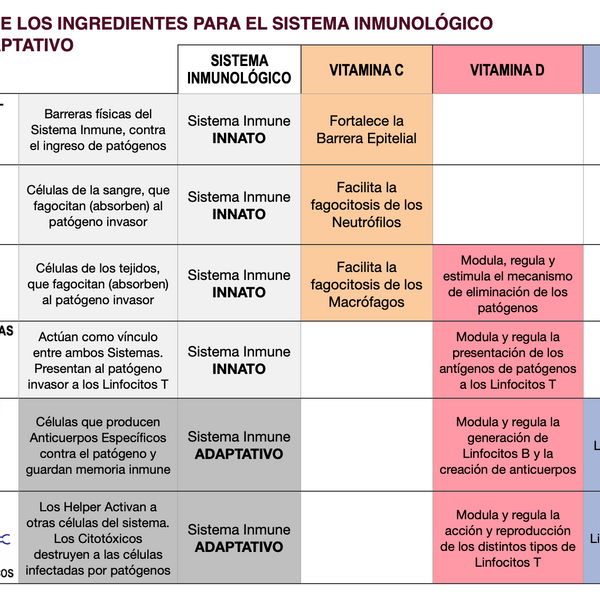 Vitaminas C + D3 + Zinc Fórmula Alcalina – Apoyo Sistema Inmune | 60 Cápsulas