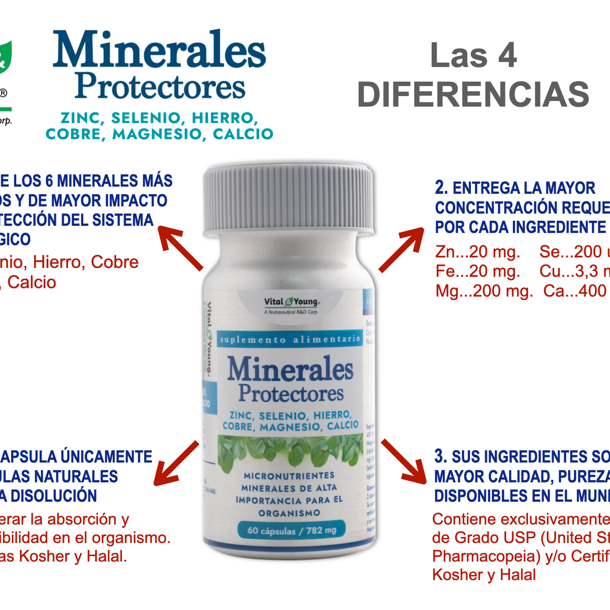 Minerales Protectores Zinc + Selenio + Hierro + Cobre + Magnesio + Calcio – 60 Cápsulas