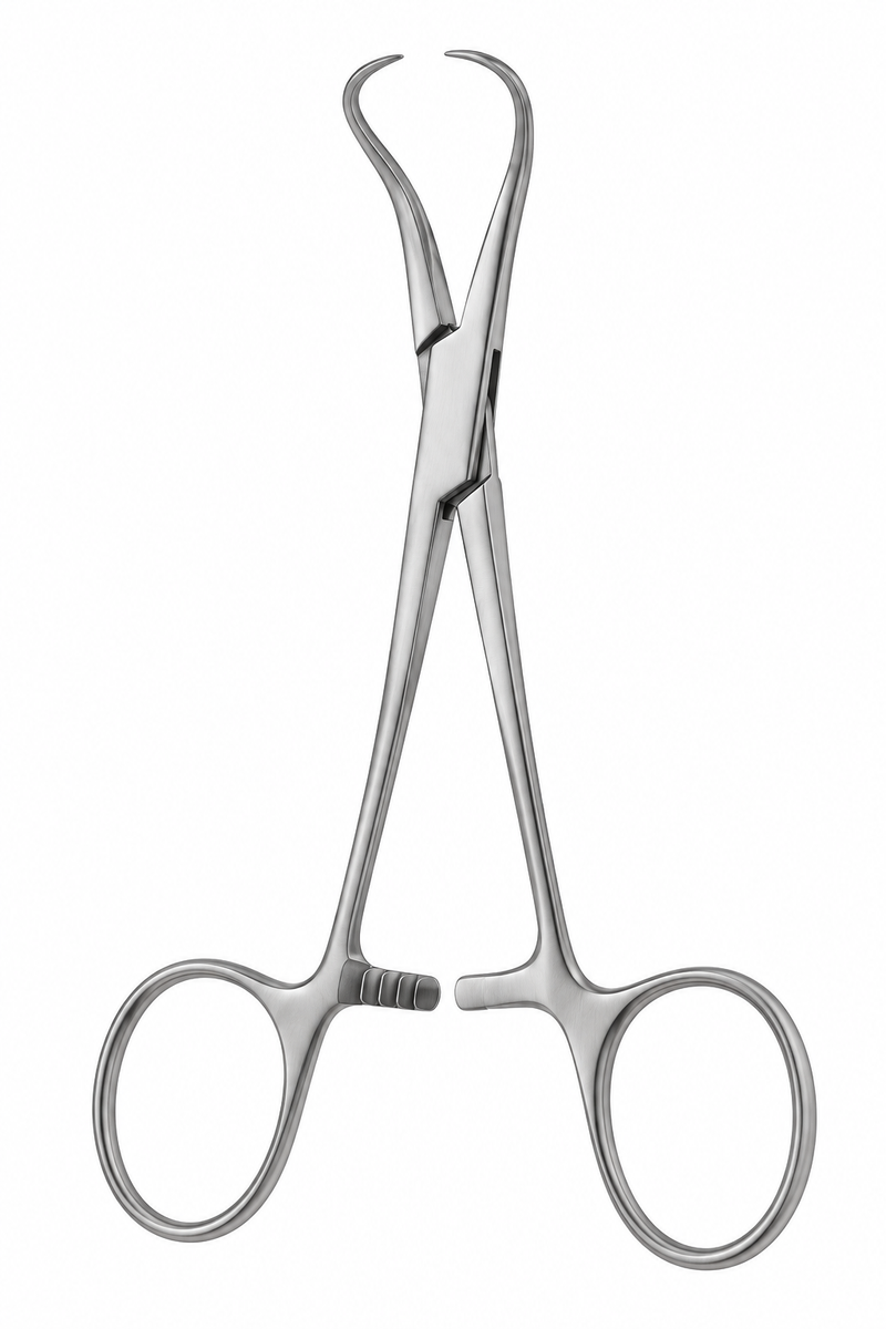Pinza de Campo Backhaus 11 cm Lawton Acero Inoxidable