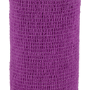 Púrpura