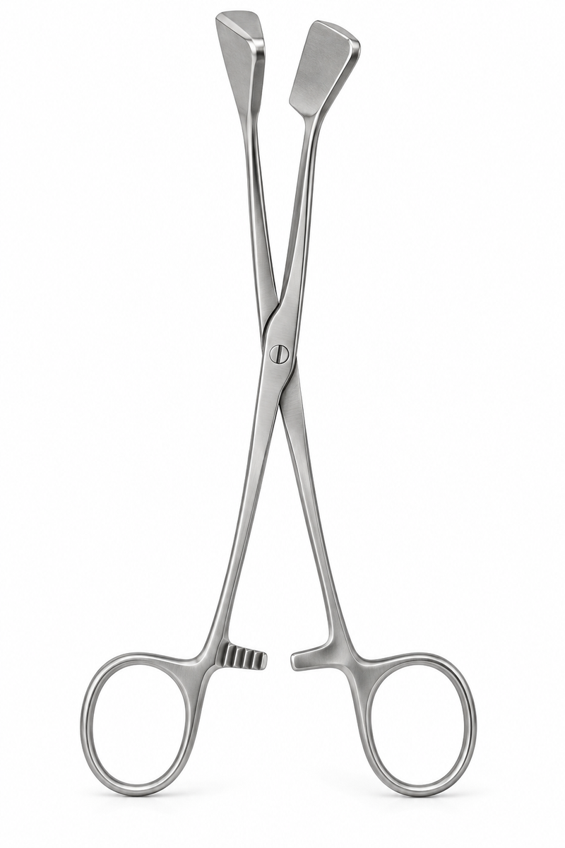 Pinza Asch para enderezar tabique nasal 22,5 cm – Lawton Clinic
